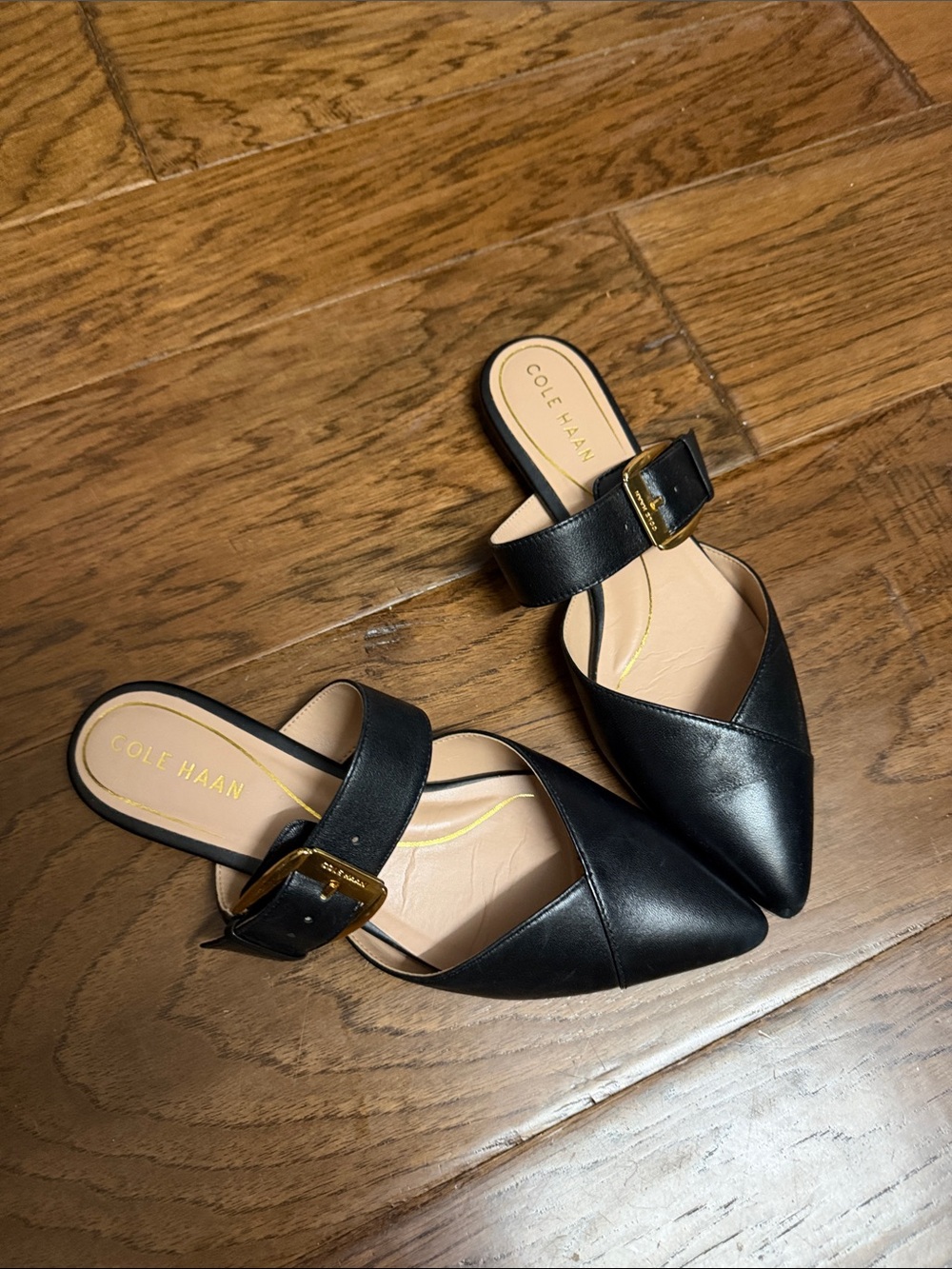 Cole Haan Black Leather Pointed Buckle Mules